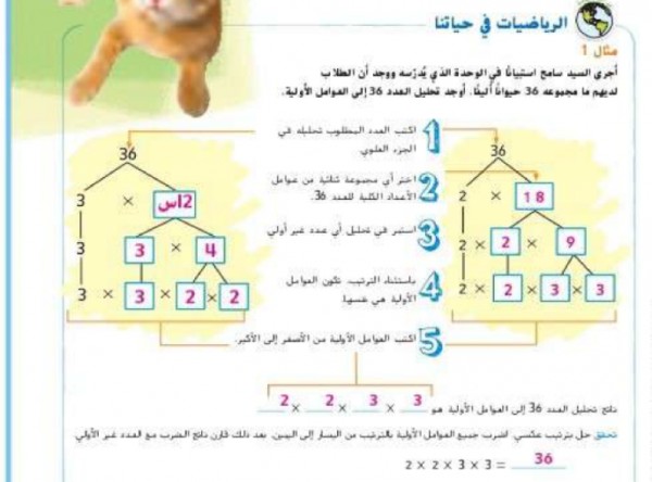 هو عوامله الاوليه تحليل الى العدد 36 عند تحليل