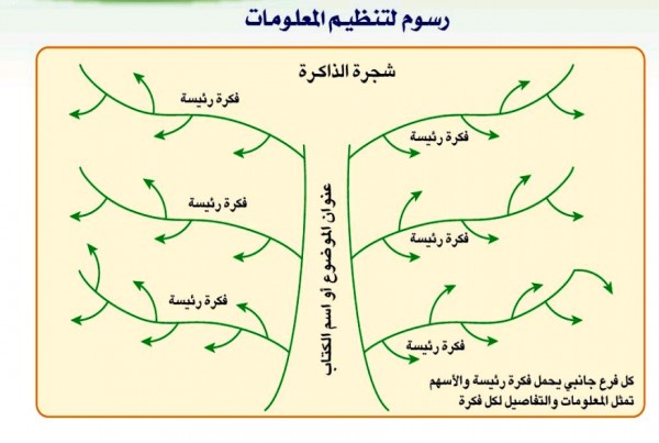 رسوم لتنظيم المعلومات شجرة الذاكرة المتصدر الاول