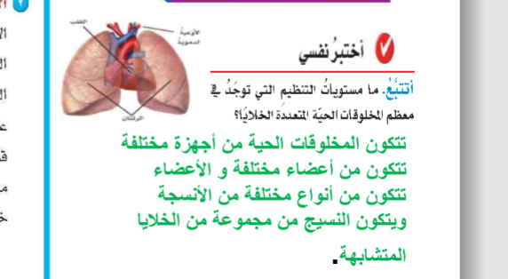 الترتيب الصحيح لمستويات التنظيم في المخلوقات الحية متعددة الخلايا